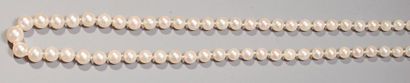 Collier de 42 perles de culture choker, le...