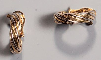 Paire de boucles d'oreilles en fils de 2...