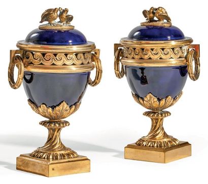 Paire de pots-pourris en porcelaine beau...