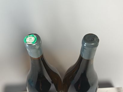 ** 2 Magnums MEURSAULT 