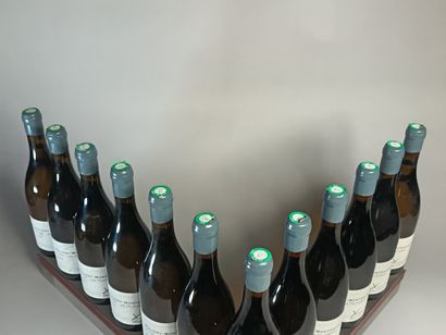 ** 12 Bottles PULIGNY MONTRACHET 1er Cru...