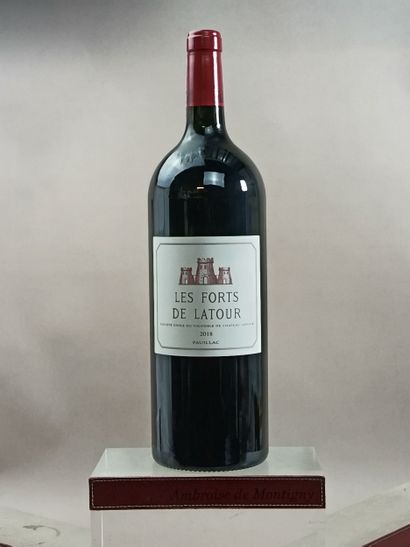 1 Magnum FORTS de LATOUR 2018 - 2nd wine...