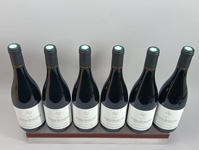 6 bouteilles VOSNE ROMANÉE 2018 - SYLVAIN...