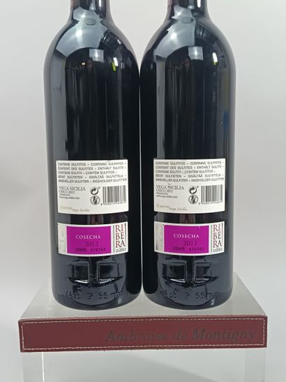 ** 2 Bouteilles Espagne VEGA SICILIA UNICO...