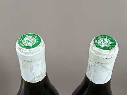 2 Bouteilles NUITS SAINT GEORGES 1er Cru...