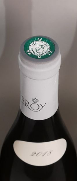 1 Bottle PULIGNY MONTRACHET 2018 - Domaine...