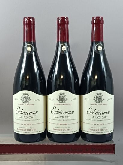 2 bouteilles ECHEZEAUX Grand Cru 2017 - Emmanuel...