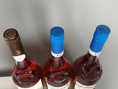 ** 3 Bouteilles COGNAC DELAMAIN 1 Grande...