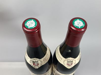 2 bouteilles HERMITAGE 2015 - J.L. CHAVE...
