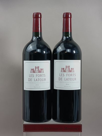 2 Magnums FORTS de LATOUR 2014 - 2nd vin...