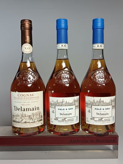 ** 3 Bouteilles COGNAC DELAMAIN 1 Grande...
