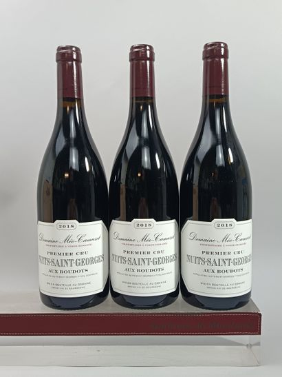 3 bottles NUITS SAINT GEORGES 1er Cru 