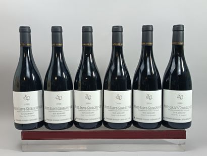 6 bouteilles NUITS St. GEORGES 1er cru Murgers...