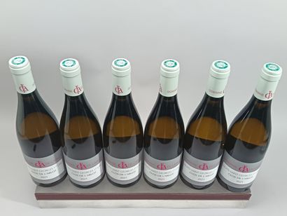** 6 Bouteilles NUITS SAINT GEORGES 1er Cru...