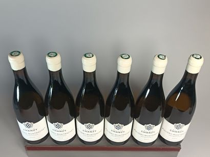 ** 6 Bottles PULIGNY MONTRACHET 