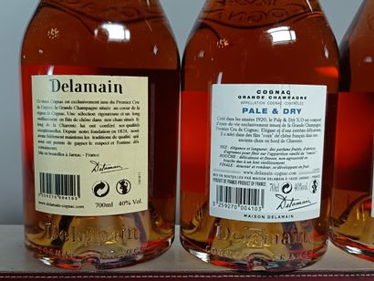** 3 Bouteilles COGNAC DELAMAIN 1 Grande...
