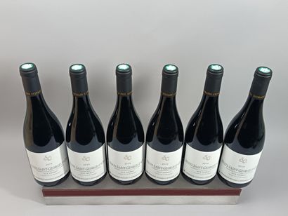 6 bouteilles NUITS St. GEORGES 1er cru Aux...