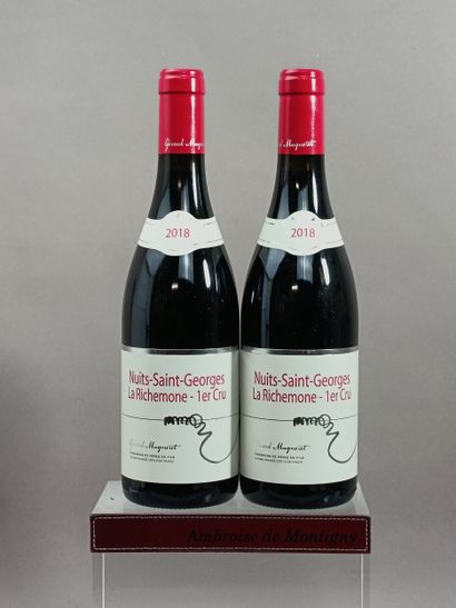 2 Bottles NUITS SAINT GEORGES 1er Cru 
