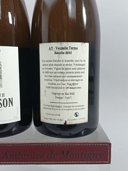 ** 2 Bottles CHAMPAGNE JACQUESSON AY 