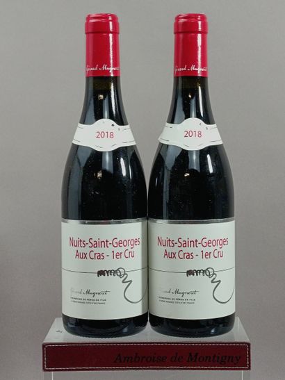 2 Bottles NUITS SAINT GEORGES 1er Cru 