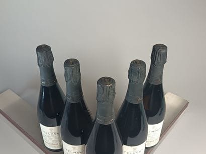 ** 5 Bottles CHAMPAGNE TELMONT 