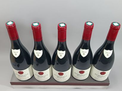 5 bouteilles ECHEZEAUX Grand cru 2018 - Nicole...