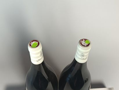 ** 2 Magnums CONDRIEU 