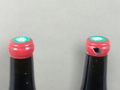 2 Magnums COTE de NUITS Vieilles vignes 2014...