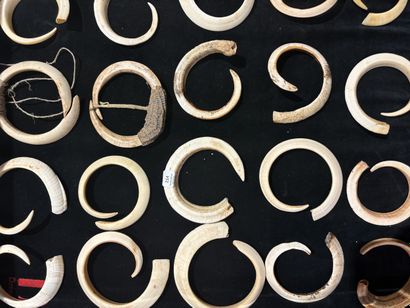 Suite of twenty-five pig's teeth.
New He...