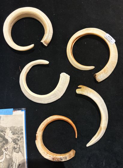 Suite of five pig's teeth
New Hebrides, late...
