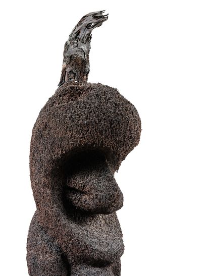 Tree fern statue carved from the root of...