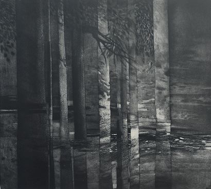 PRUVOT Sylvaine
Lumière de pierre / Black...