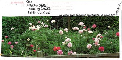 GAERTNER Coco
Le souvenir d'un texte / Enveloppe...