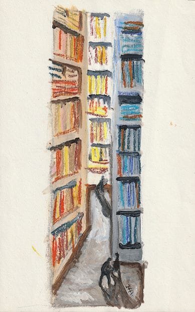 HERVÉ Isabelle
Secret de bibliothèque / Acrylic...