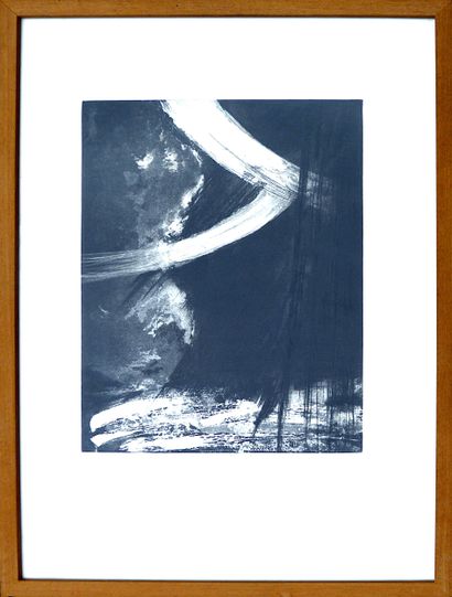 LASOTA Lydia
Cinglés / Etching and drypoint...