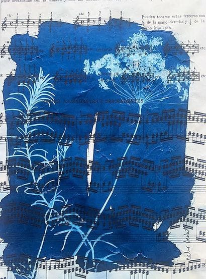 BEDAT Céline
Mélodie fleurie / Cyanotype...