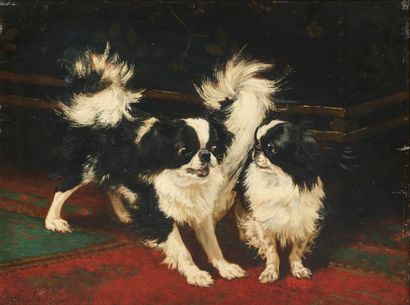 查尔斯-埃马纽埃尔-贾丁（1866-1906）
北京狗, 1885年
画板油画，左下方有签名和年代...
