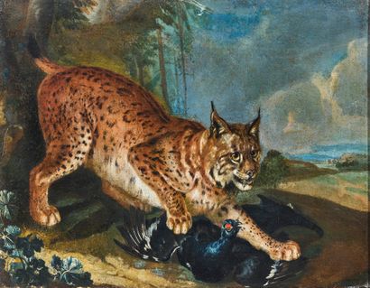 19 世纪意大利学校
山猫和野鸡
布面油画
27 x 34 厘米