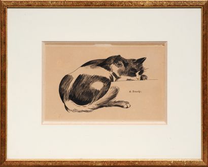 奥古斯特-儒夫（1846-1908）
猫
水彩画，右下方有签名
14 x 22 厘米

出处：前安德烈-伯恩海姆（André...