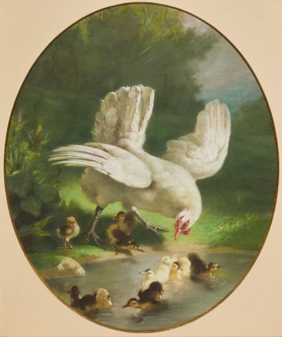 莱热-舍雷尔（1846-？）
母鸡与小鸡
粉彩画，左下方有签名
H.57 厘米 宽...