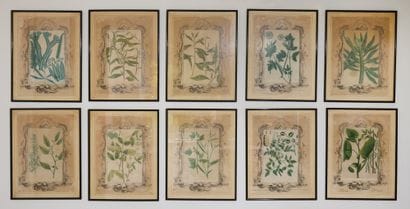 HERBIER
Suite de seize gravures en couleur
Dim...