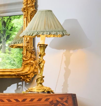 Paire de flambeaux en bronze à décor végétal...