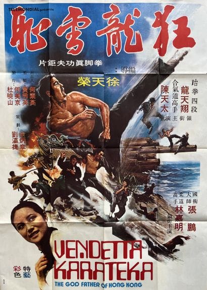 VENDETTA KARATEKA / TIE JIAO WA Tien-Yung...
