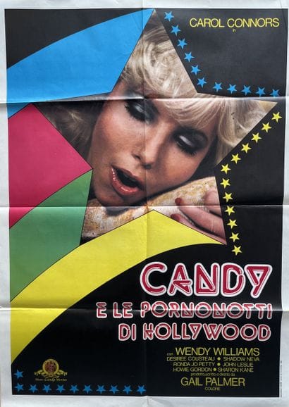 CANDY AND THE HOLLYWOOD PORN STARS / CANDY...