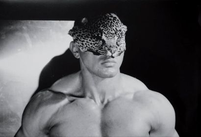 Patrick SARFATI (1958)
Animaux. Paris 2002....