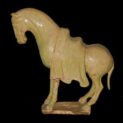 Cheval harnaché, à l'arrêt sur terrasse....