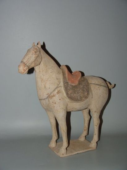 Cheval debout sur terrasse, portant une selle...