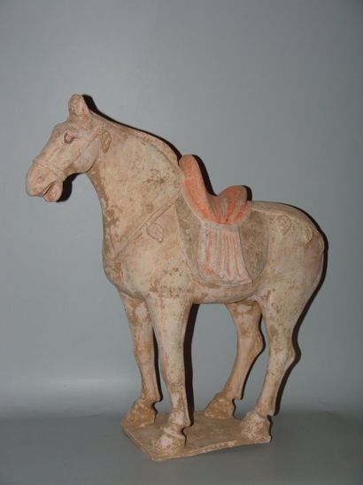 Cheval sellé à l'arrêt, debout sur une base...
