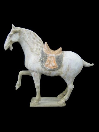Cheval à la jambe antérieure droite levée...