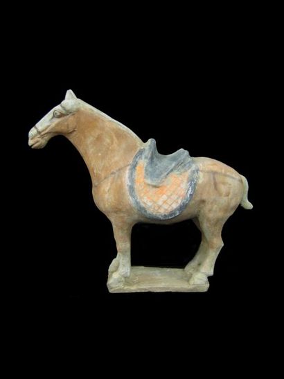 Cheval couvert d'un tapis et sellé. En terre...